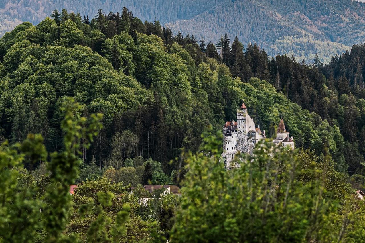 Pensiunea Muntele Rece Bran  Exteriör bild